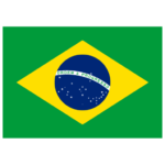 BR Brazil Flag icon - FuturExperience